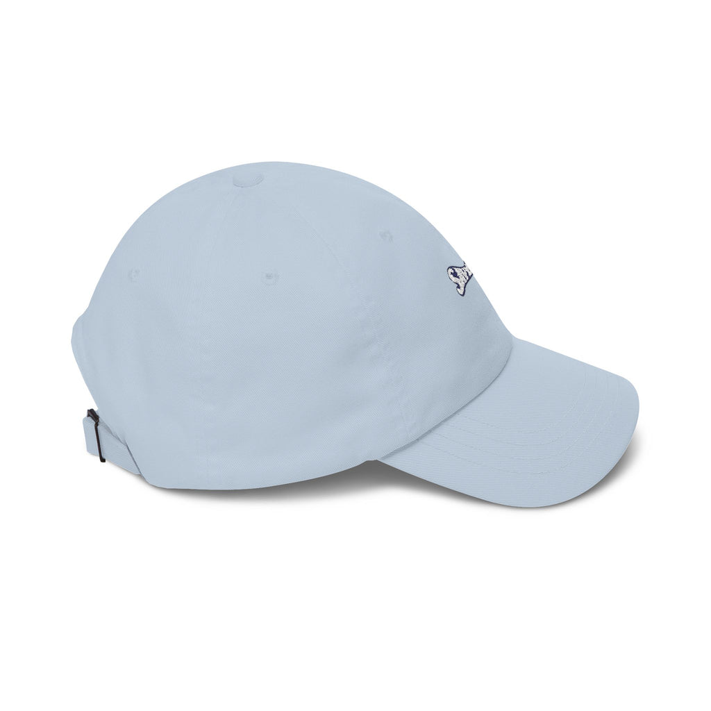 Saviour Christian Dad Cap — Subtle Faith Baseball Hat